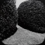[untitled]; Traub, Charles H.; 1981:0059:0011