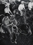 Cowboys at Rodeo, Texas Cowboys Reunion- Stanford, Texas; Lee, Russell; 1959; 1971:0291:0001