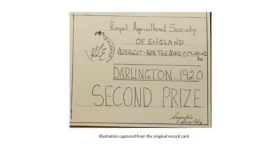 Certificate; 1920; STMEA:1987-34.457