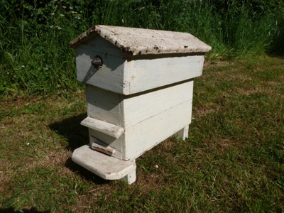 Nucleus hive; 1940s - 1950s; STMEA:A.5650