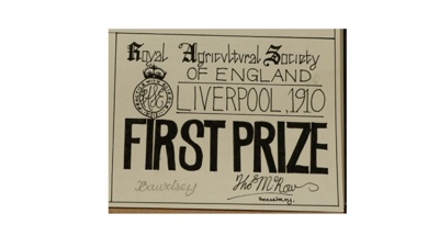 Certificate; 1910; STMEA:1987-34.100a