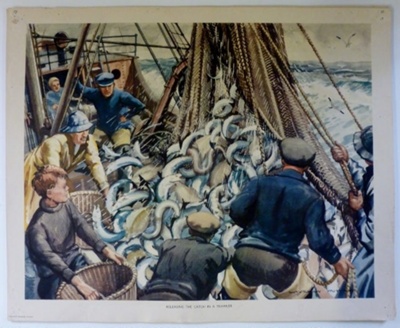 Colour print; Macmillan and Co Ltd; c1940-c1960; STMEA:1989-4.186