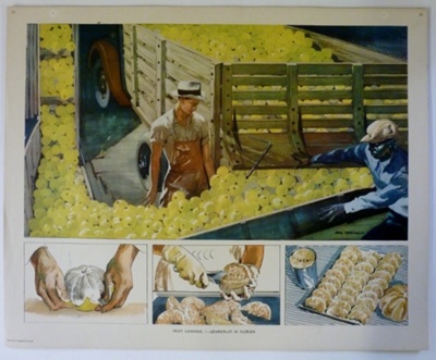 Colour print; Macmillan and Co Ltd; c1940-c1960; STMEA:1989-4.195