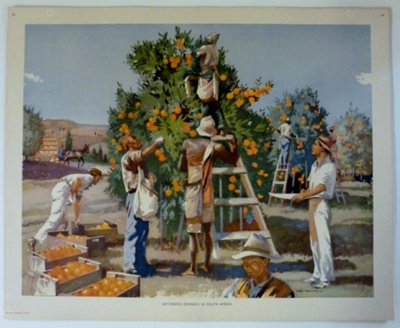 Colour print; Macmillan and Co Ltd; c1940-c1960; STMEA:1989-4.198