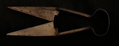 Sheep Shears; Ward; STMEA:81.A.79.1.3