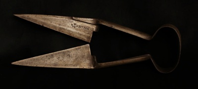Sheep Shears ; STMEA:81.A.79.1.1