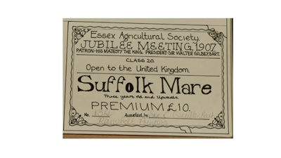 Certificate; 1907; STMEA:1987-34.82a