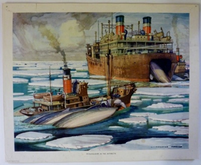 Colour print; Macmillan and Co Ltd; c1940-c1960; STMEA:1989-4.192