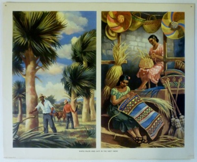 Colour Print; Macmillan Education Ltd.; STMEA:1989-4.241