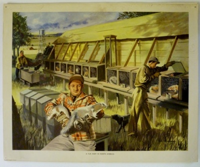 Colour Print; Macmillan Education Ltd.; STMEA:1989-4.244