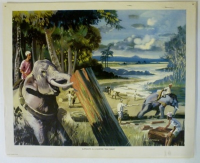 Colour Print; Macmillan Education Ltd.; STMEA:1989-4.246