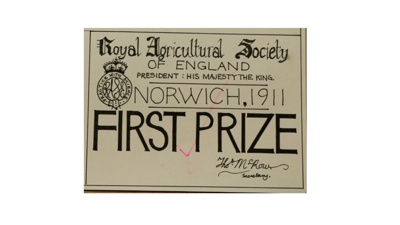 Certificate; 1911; STMEA:1987-34.98c