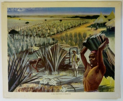 Colour Print; Macmillan Education Ltd.; STMEA:1989-4.233