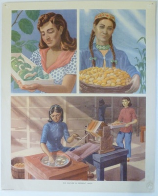 Colour Print; Macmillan Education Ltd.; STMEA:1989-4.237