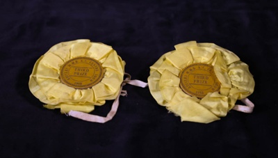 Rosettes; STMEA:2007-23