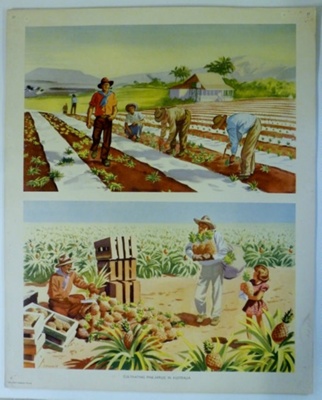 Colour print; Macmillan and Co Ltd; c1940-c1960; STMEA:1989-4.199
