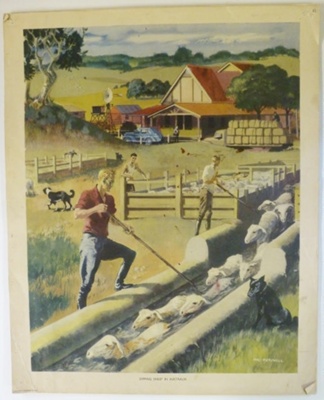 Colour Print; Macmillan Education Ltd.; STMEA:1989-4.224