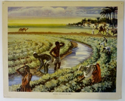 Colour Print; Macmillan Education Ltd.; STMEA:1989-4.229