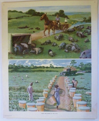 Colour print; Macmillan and Co Ltd; c1940-c1960; STMEA:1989-4.182