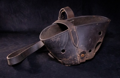 Horse Muzzle; STMEA:B.407