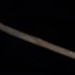 Traveller's carrying stick; STMEA:A.2825