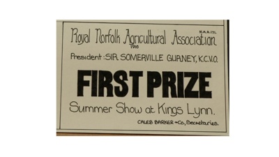 Certificate; 1910; STMEA:1987-34.110b