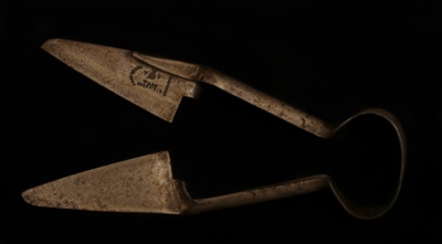 Sheep Shears; STMEA:81.A.79.1.5