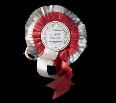 Rosette; British Legion Poppy Factory; STMEA:2018-380