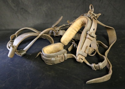 Bridle; STMEA:A.3619
