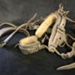 Bridle; STMEA:A.3619