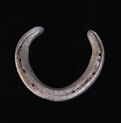 Racehorse Shoe; STMEA:2018-416
