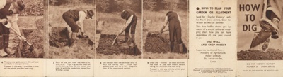 Leaflet; The Ministry of Agriculture, Fisheries and Food; STMEA:1991-21.9