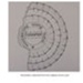 Rosette; J H Wood, The Don Press; STMEA:1987-34.152