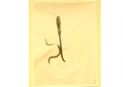 Horse Gag ; STMEA:A.380
