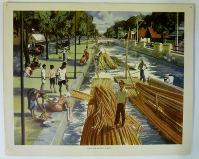 Colour Print; Macmillan Education Ltd.; STMEA:1989-4.248