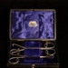 Caponising instruments; Arnold & Sons; STMEA:A.4709