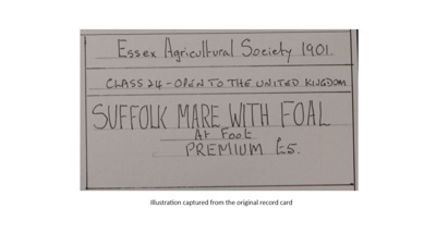 Certificate; 1901; STMEA:1987-34.533