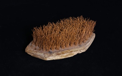 Horse brush; STMEA:B.427