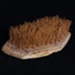 Horse brush; STMEA:B.427