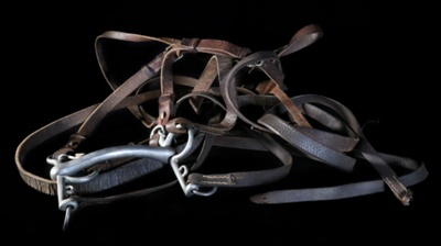 Bridle; STMEA:A.5429