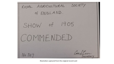 Certificate; 1905; STMEA:1987-34.542