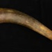 Drenching Horn; STMEA:A.1357
