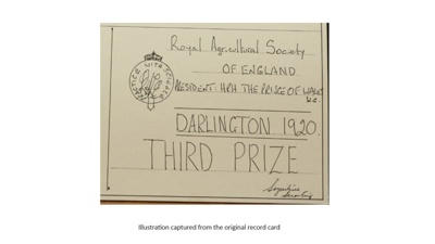Certificate; 1920; STMEA:1987-34.458b