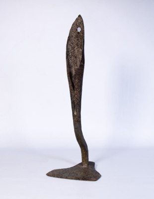Round-backed Hoe; STMEA:A.510