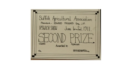 Certificate; 1911; STMEA:1987-34.113a
