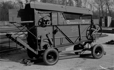 Glass negative, Ransome's Peanut minor; STMEA:A.6586