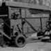 Glass negative, Ransome's Peanut minor; STMEA:A.6586