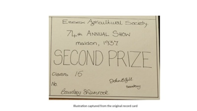 Certificate; 1937; STMEA:1987-34.430