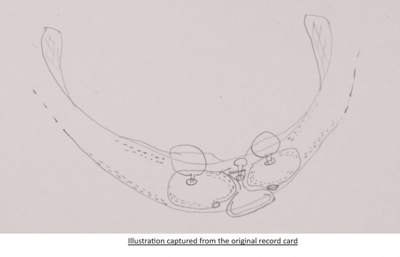 Gig saddle; STMEA:A.2488