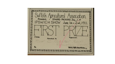 Certificate; 1911; STMEA:1987-34.97c